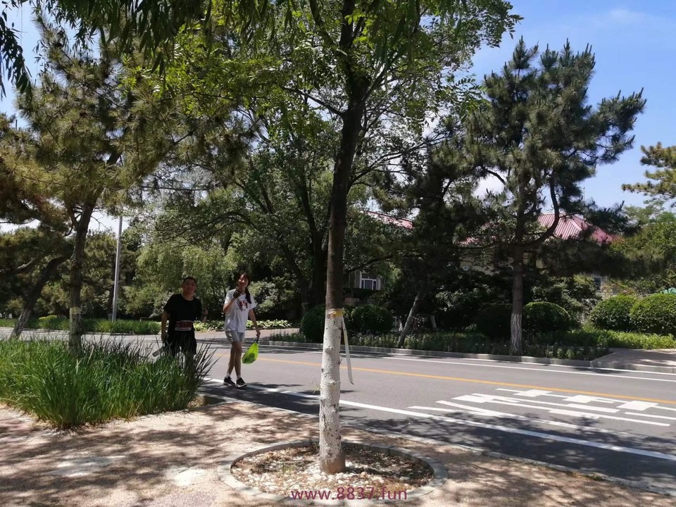 k95Y7MErDTGf73m_IUl_bsV4hMgdcq6ad-_HyvOOGtRFugGbXBl6Eb_P_Q-R50ei