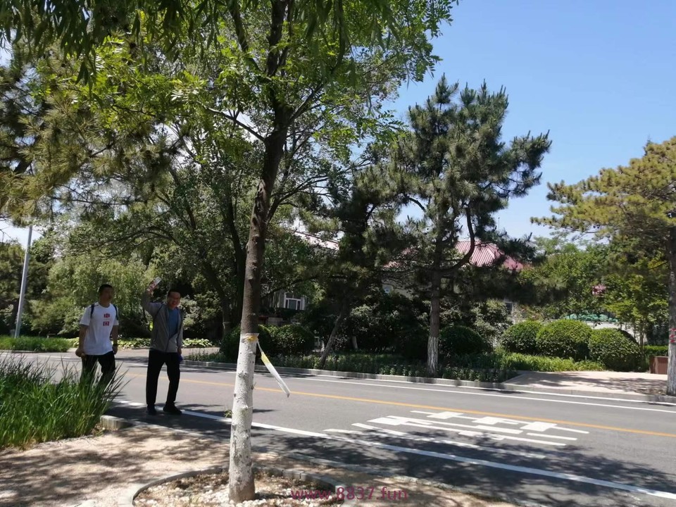 bmYlCmno7xKfa1BF4BWfHPI8JrPPST3-7_5XrI4aTqK8rQJutyZBlvwqMJPUkJ2P