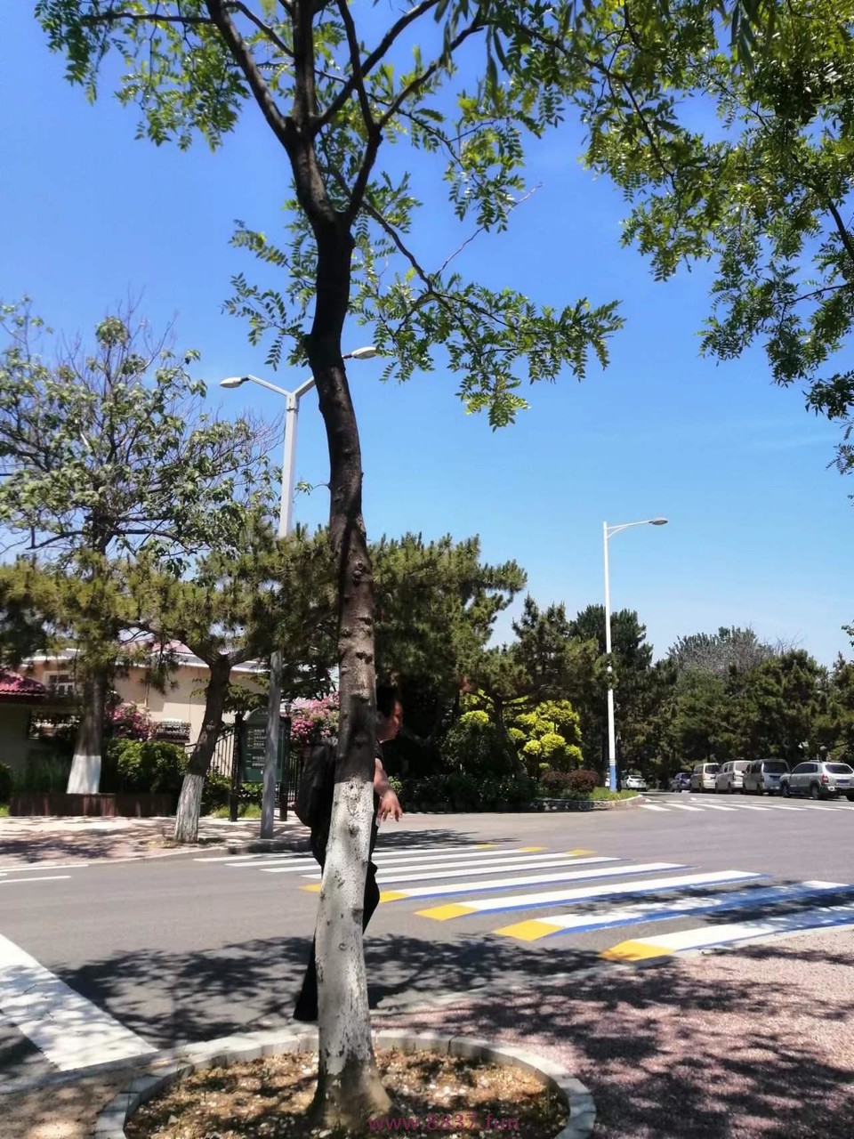 bmYlCmno7xKfa1BF4BWfHM7nXaEF8AX0ffRD9vxKASxLTpTfNM7f1du7GyJ4heal