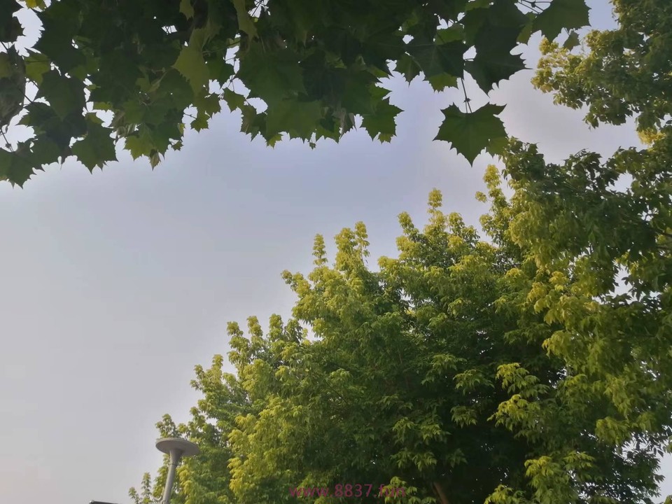 x9D9H0vK2diJlrE0Gxi57IIhaKboQqjOdjf4FfW00V3ygNi3w9t3j4devFwu-NT5