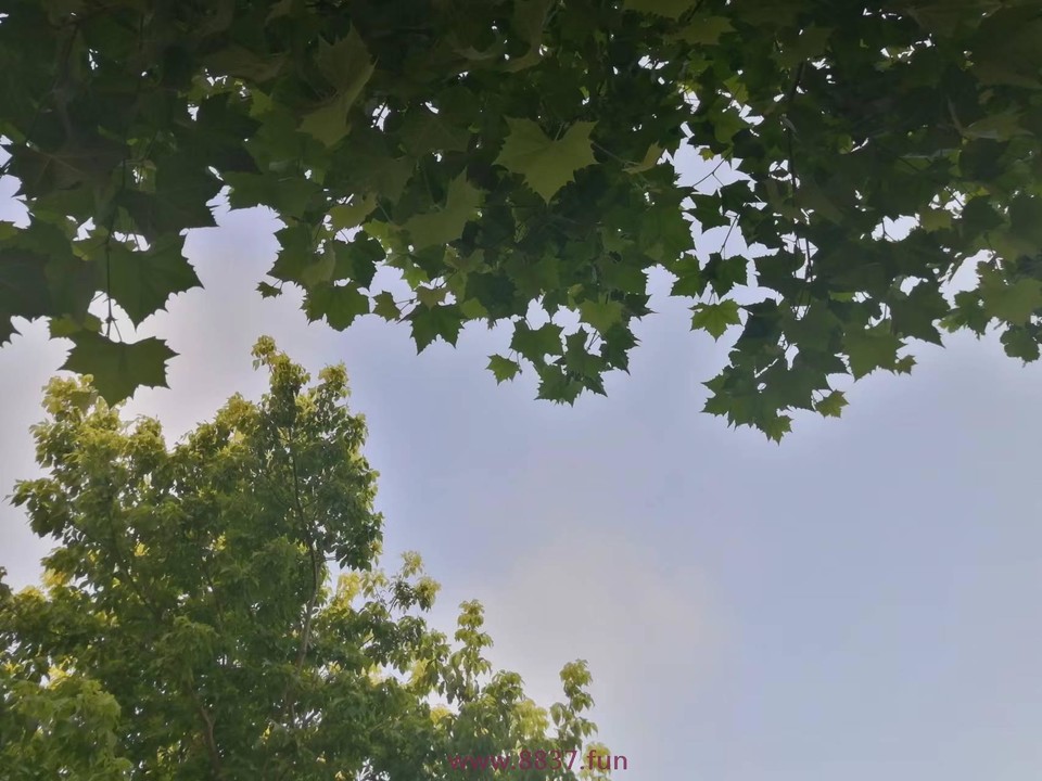 x9D9H0vK2diJlrE0Gxi57Fu4o1qxtcua58csSsC9F6743YZQrpwlf8XU-8G8Po6S