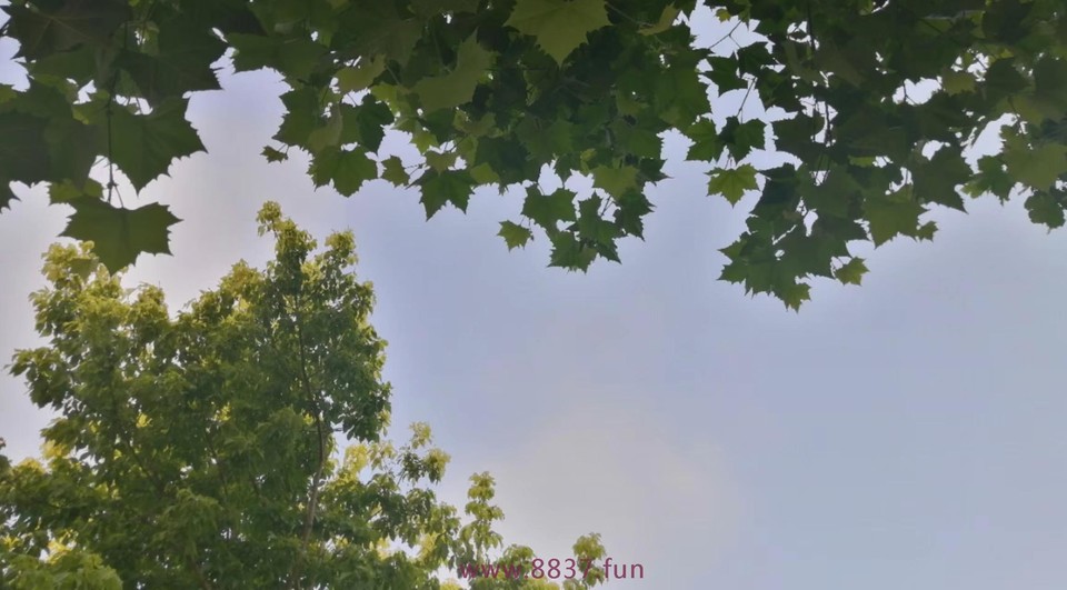 x9D9H0vK2diJlrE0Gxi57BMNemhO0Pde1Hcfgsf-LQIIZ5Ypx6Xv8UiekUGox9oc