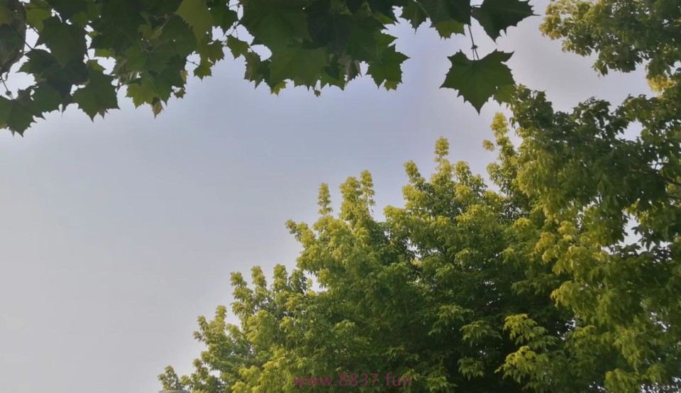 x9D9H0vK2diJlrE0Gxi57MvmilC6k2cKt4R95dSnMDHyPkIiqFrlNiZaUI0MjwrG