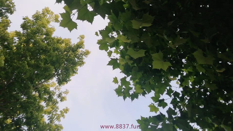 x9D9H0vK2diJlrE0Gxi57FdBzyDtS3uVWpwvOmXFU-QvZpxe6bAcWCDnzeFxumVh