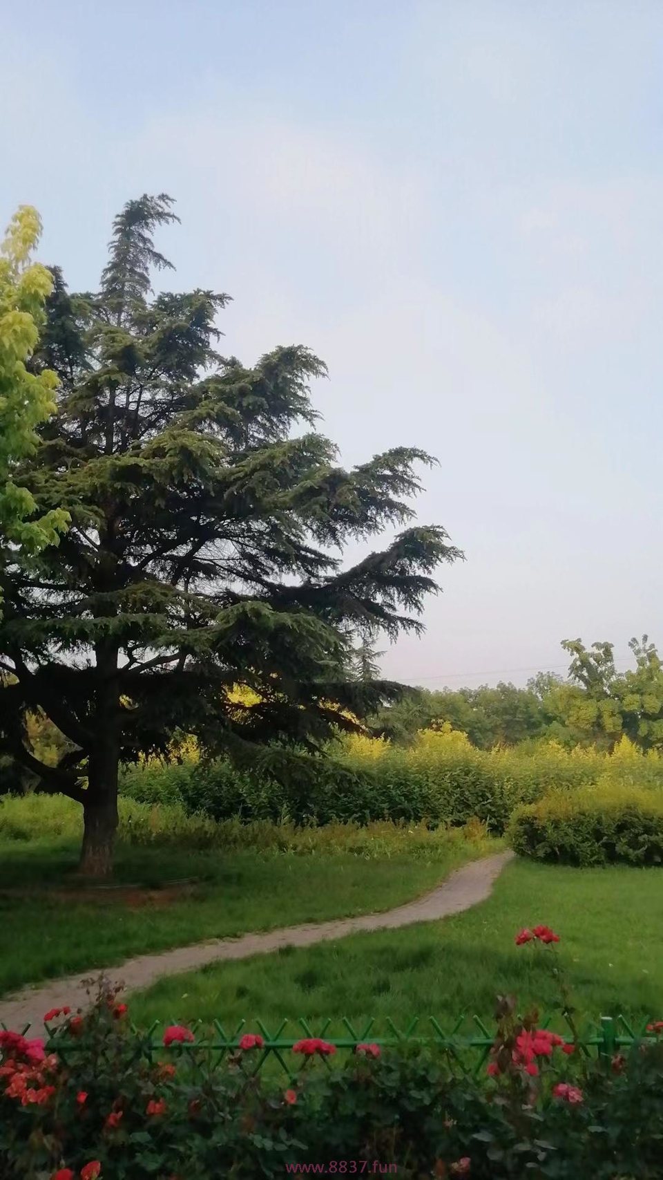 x9D9H0vK2diJlrE0Gxi57O7kqozR2H-uCnMiSTHJVzj-WBzvHYhn7KHhG-ER9FuJ