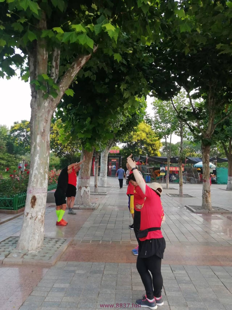 x9D9H0vK2diJlrE0Gxi57PEPh3Tf2MLMyVqWbVa6B9jPW71CXbxulBkhpMakI42T