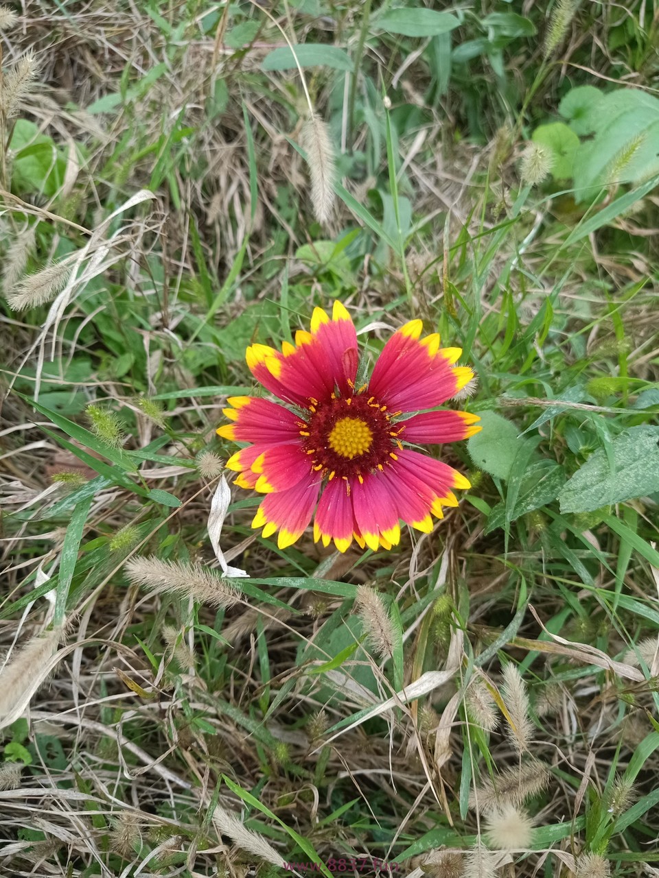 gOr-ueTxdQ5kj3lFiCiFkMFIurDn4iD3qodDKPqQRlJISlJz4RDusSOJcZTxDLPP