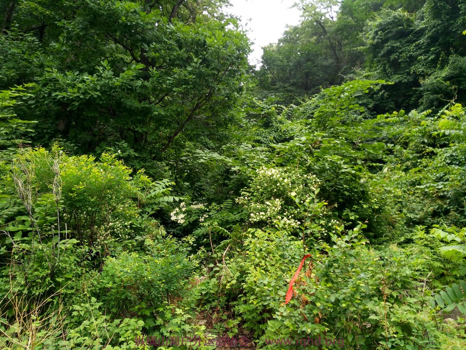 XT1X5kG-gB1ewzFom2xk9AJel0mdgltwYLzTJ79DFq_bcHe4w5hOLeDzD3Qjh0ph