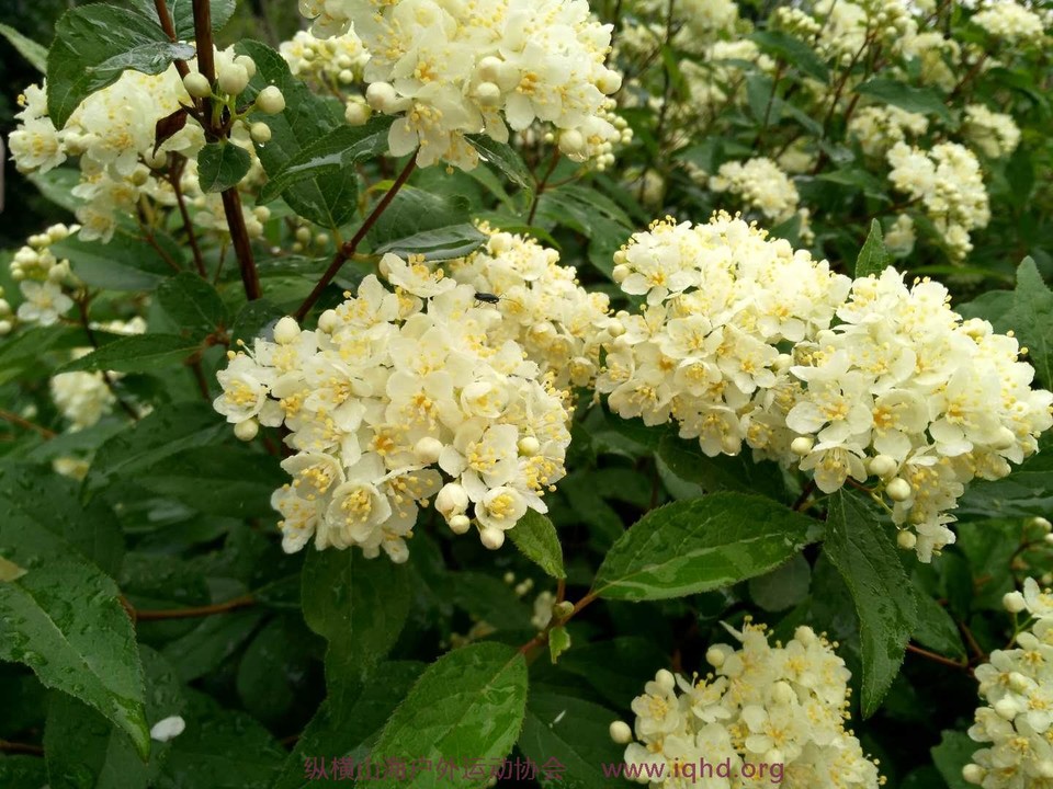 cdigLjYBIJhrTFgODXo4iNkVk1AKu0zLEhtdcbNmzWi5TH2eAG6tmQXwSEV_6uie