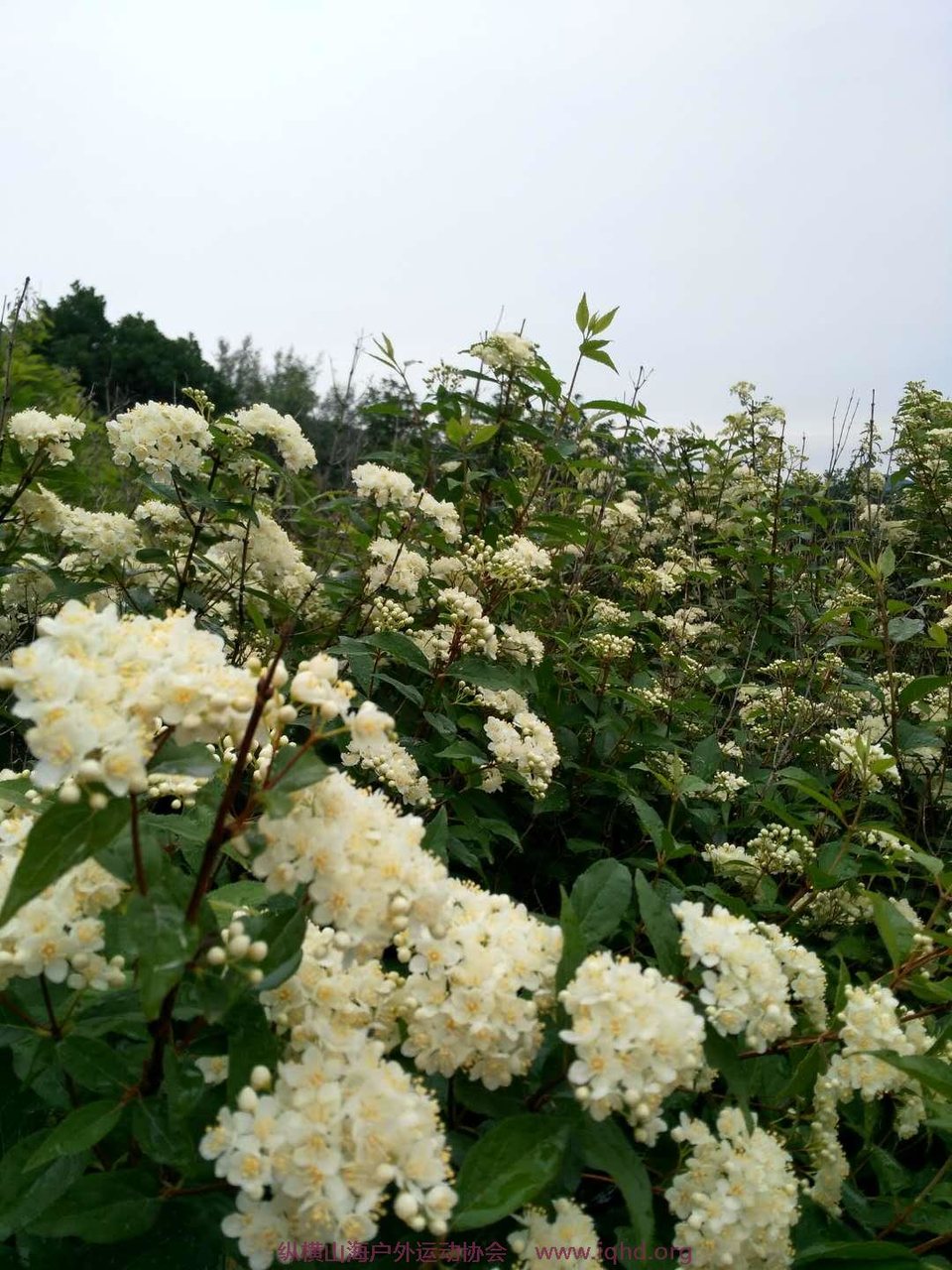 g5vp6mc4JzJ4HbNt5cx9GdtCCttd6K0915fAZ7CsM1DJ0X4oKdJtSufj13Dvkm-E