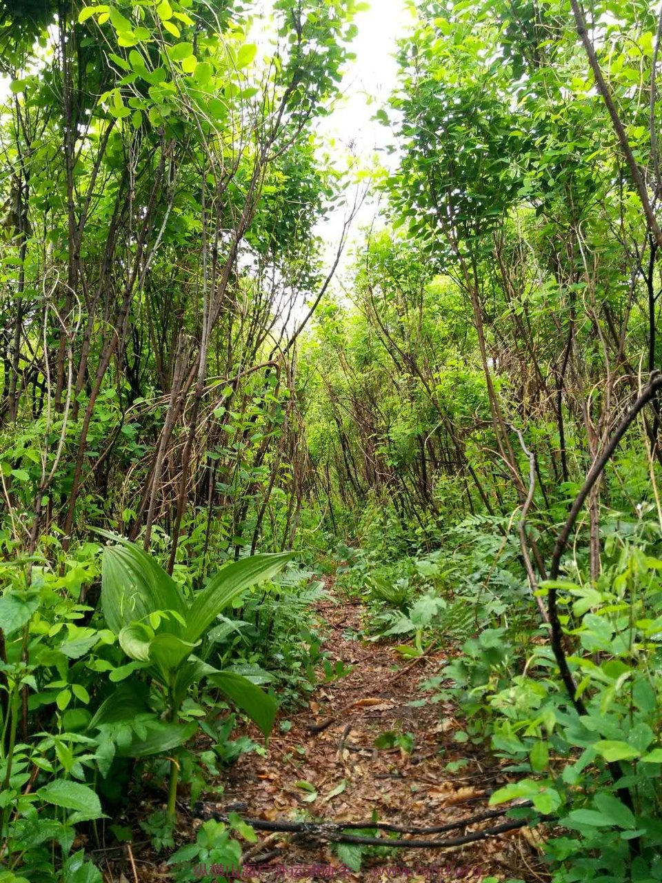 gy9FAM07x9K3mJHjodwb1xuYmdicSJVyJ3rbdtGzPhSaBE3n94g4Z1pIB5GuA9TW