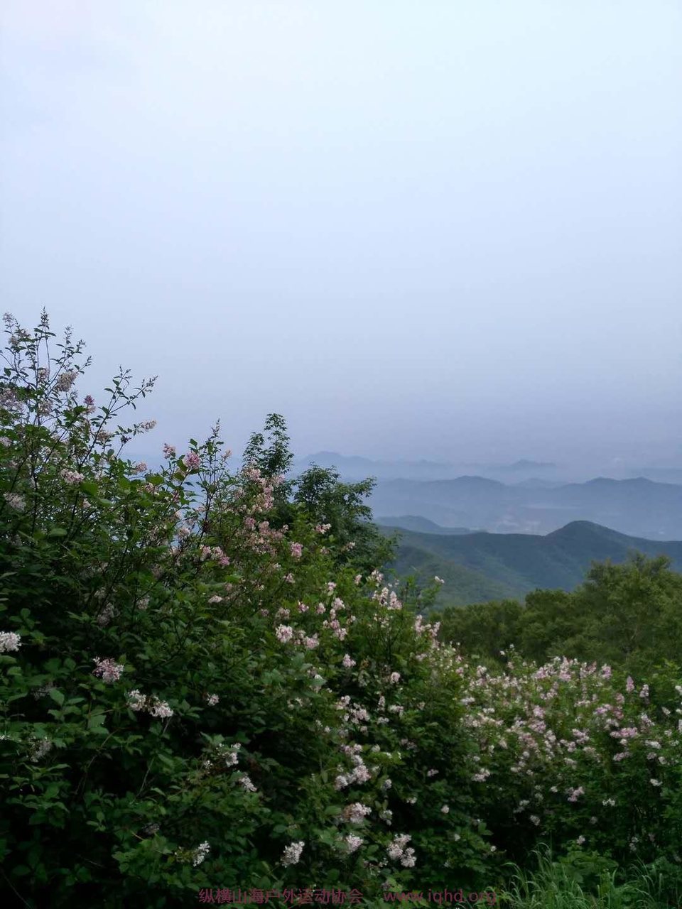 qZ60thBHvLE0XSBrl_XM-I8Q7pRTNg9NbuAzOQ9NK67Jap2xTl4aglEb76CGR_ML