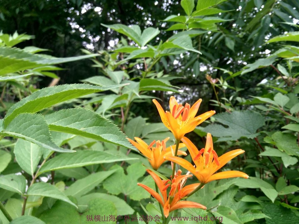 Vr2wsFE_is88QoEmfYKEjCOWQ93QQ8EycYOoWYnD64nIWHcDtGLYVDRtpoP26Vc0