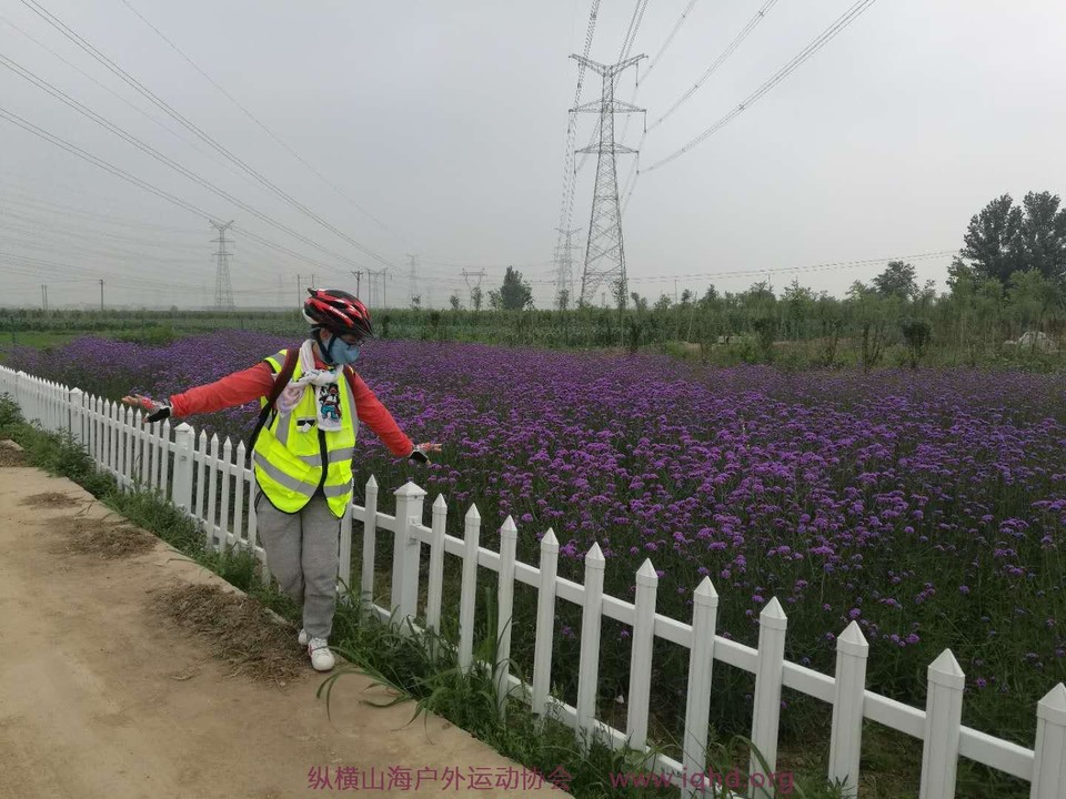 OWQhqBpi9upQq-VrsKAomt1SWiwjq9FimxlLXjZTdFUq9zXILo-57k00ujyl0ODN