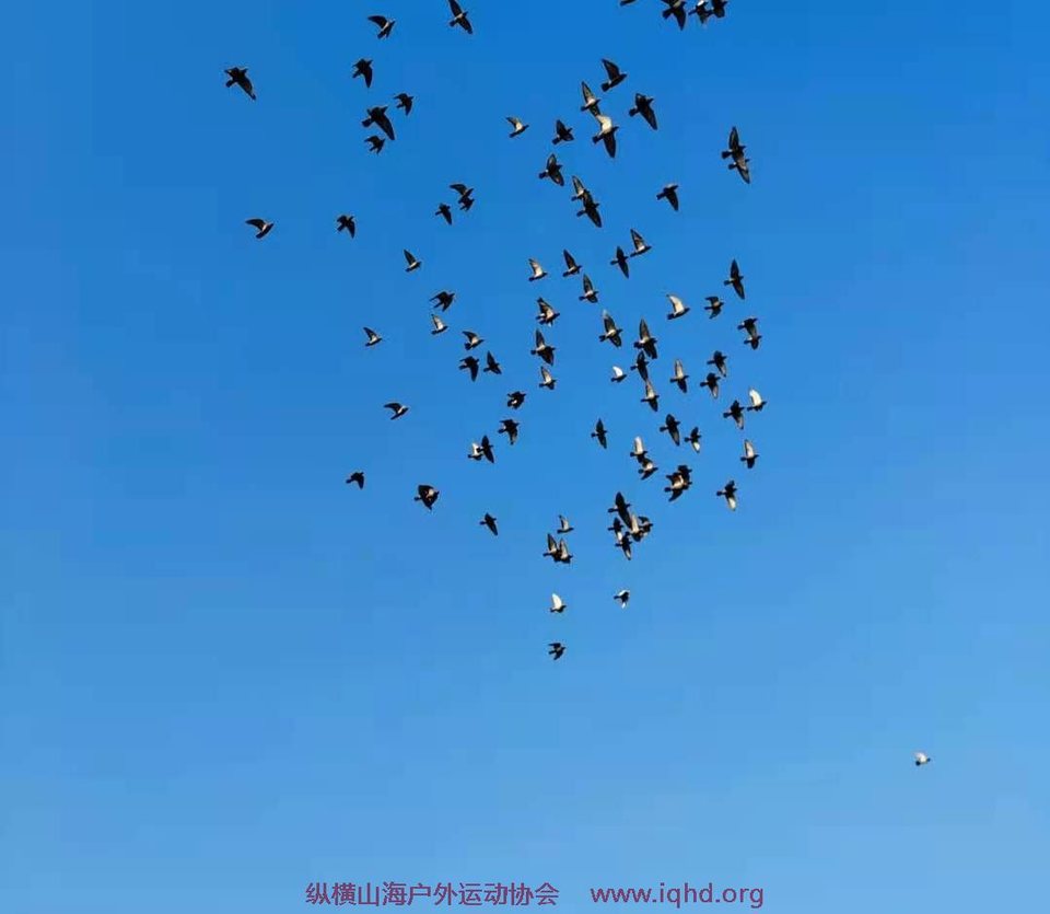 bks39qFyXryXgSVOhsBNW-8abMK9pRwwVKHoKPDC8P7gVB6rJjjQYMSGRSArDbEE