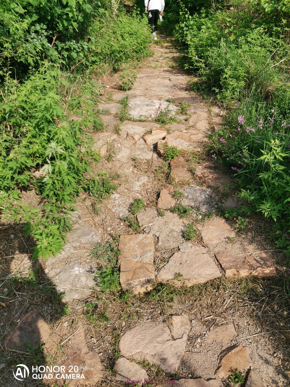 微信图片_20220701144014