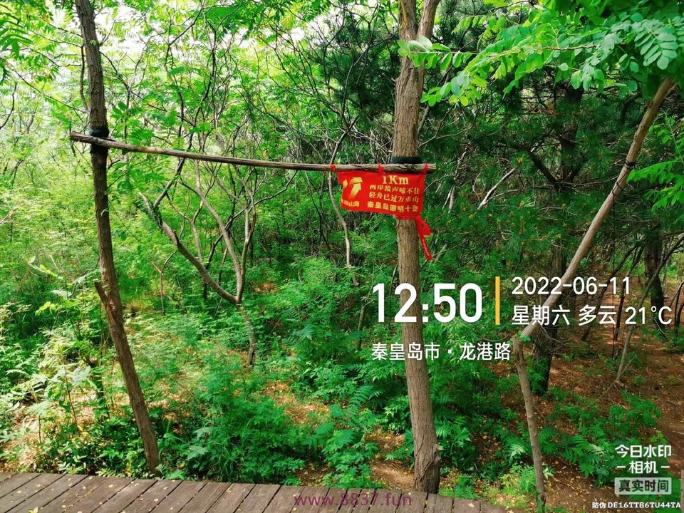 微信图片_20220701144251