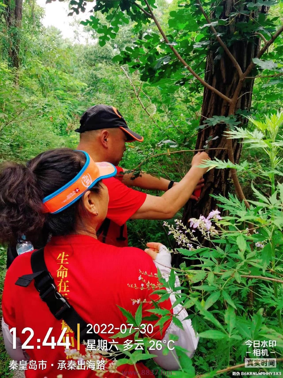 微信图片_20220801001724