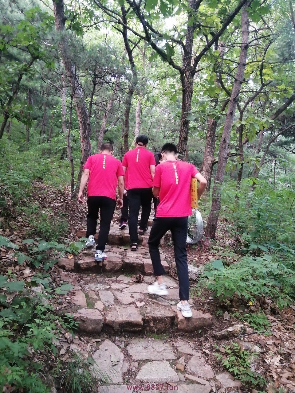 微信图片_20220801004806