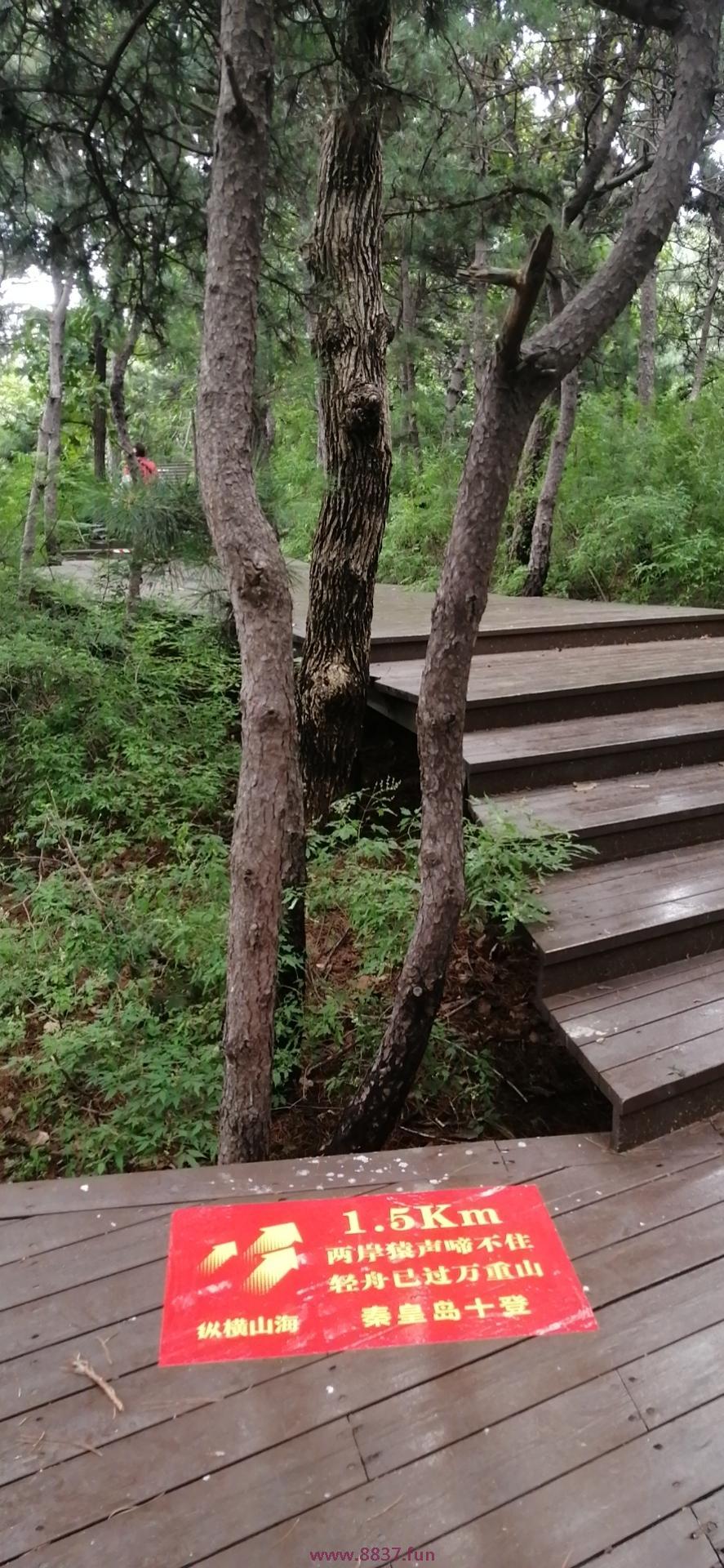 微信图片_20220802223647