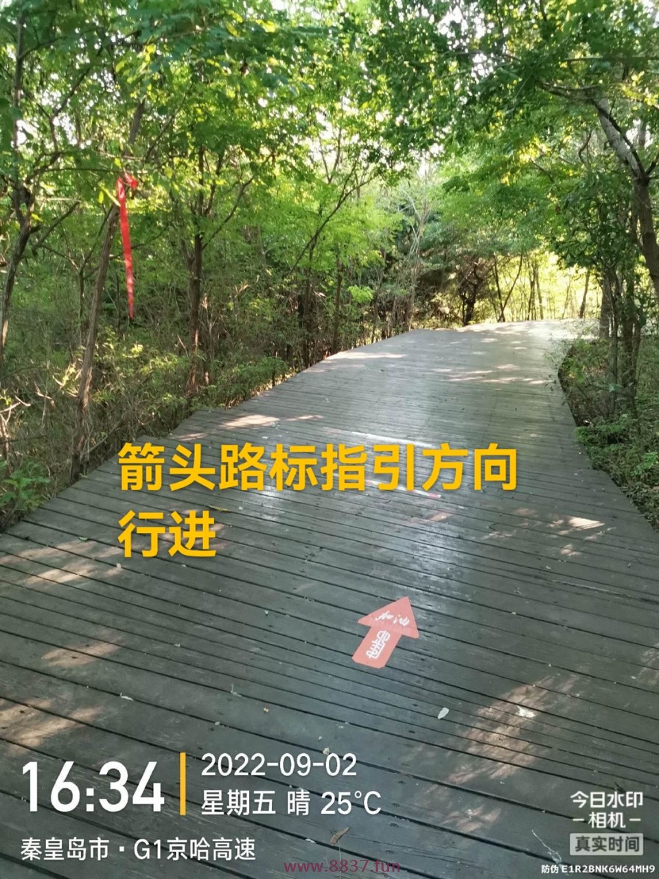 微信图片_20220903203610