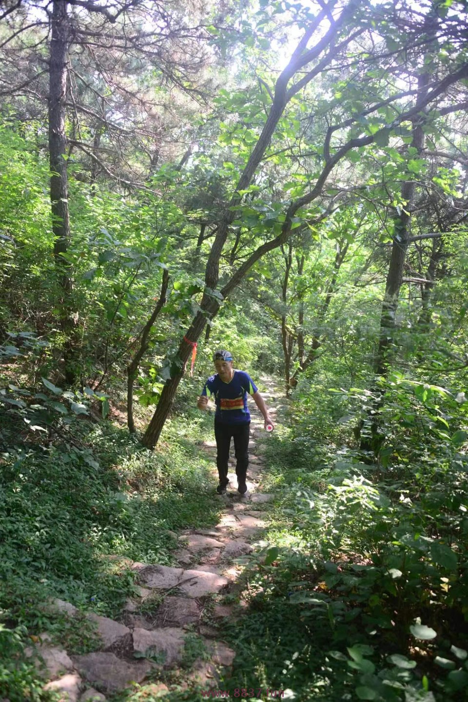 LlNnM7eUD63c6SMNUk2LfaoNh9qDbQuChPkQV-883mparmVnkGenbEAaJsENNkbt