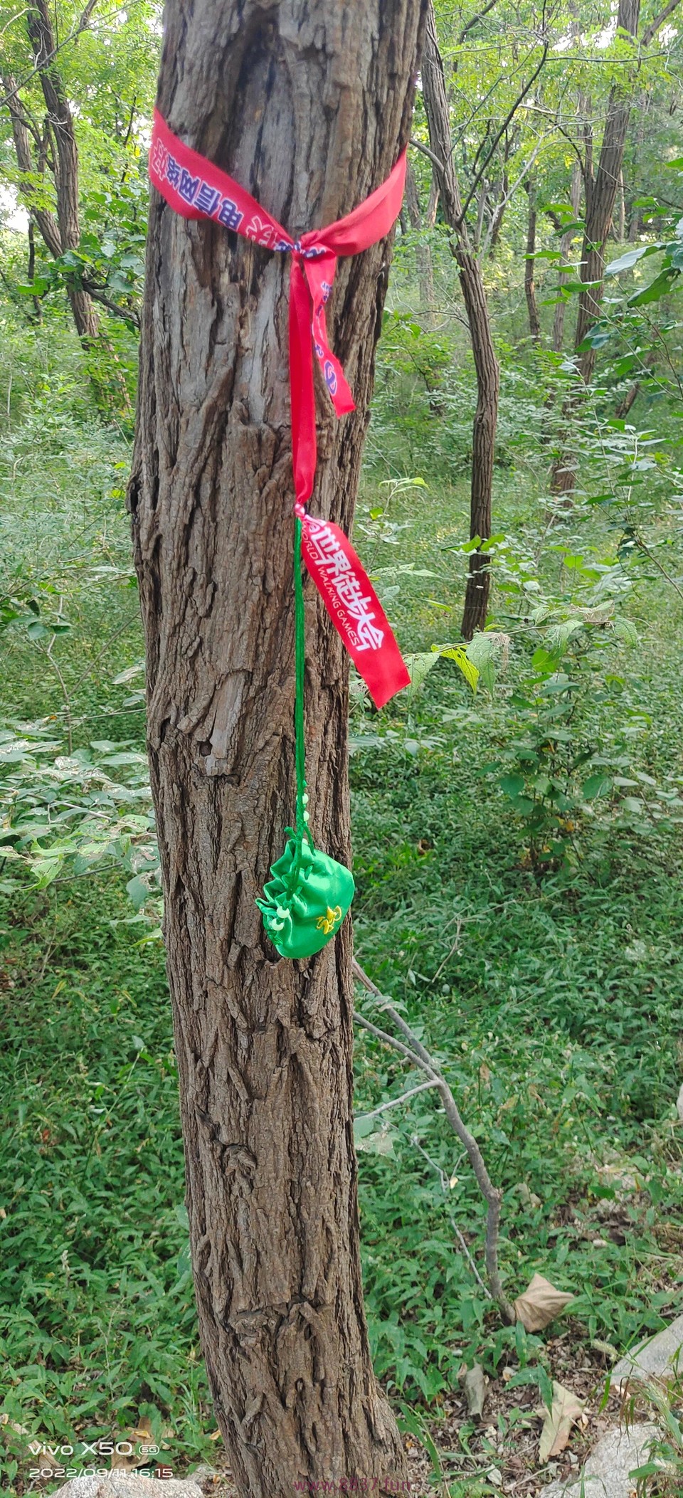 微信图片_20220912160409