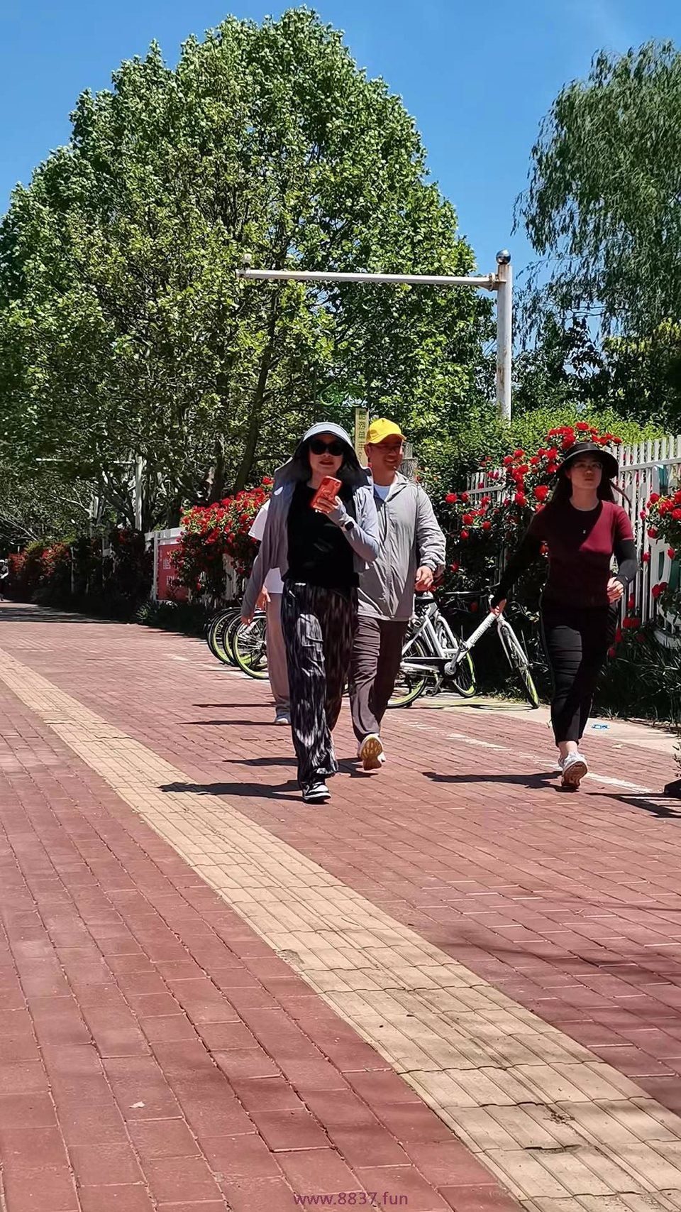 0Iv2YliO_1Eed0l7napQ_eTibCAhIppZA_yszmkprNphj5UIPE9cE7qE9YRMrZ8U