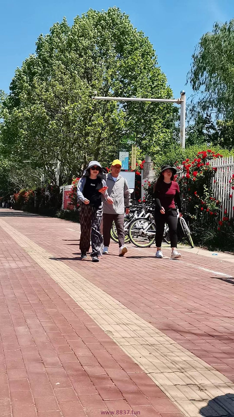 0Iv2YliO_1Eed0l7napQ_eZhn_10hyR1LUXYdmlJN8ETF1yqULso-UwQiRQEnvXM