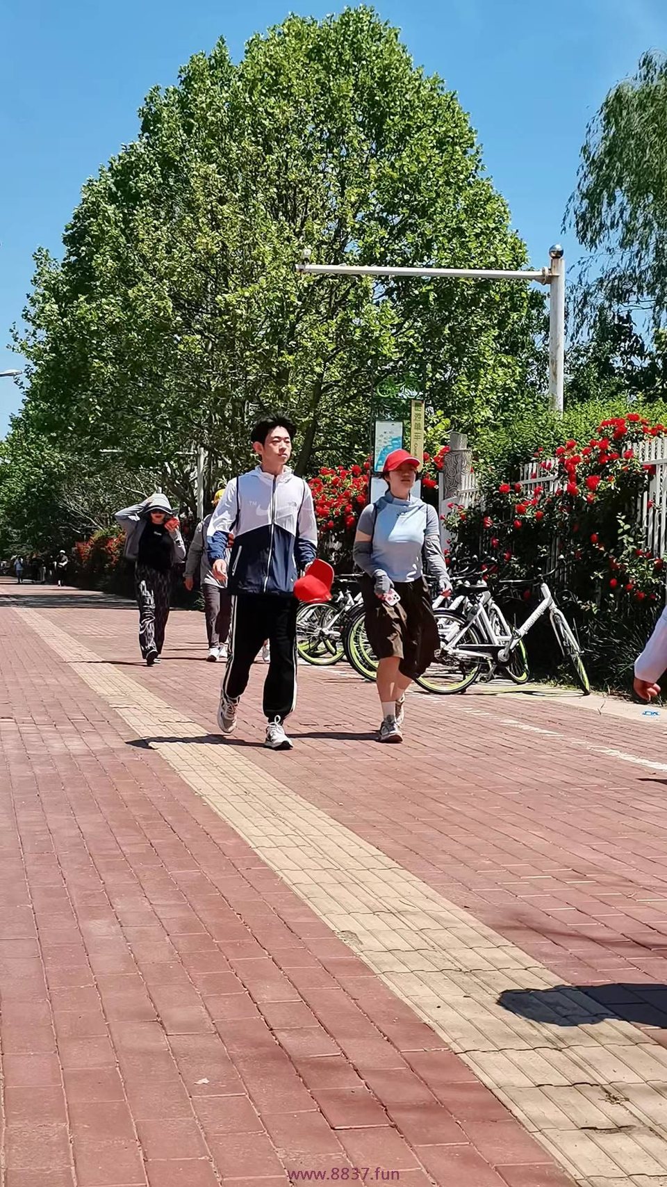 0Iv2YliO_1Eed0l7napQ_bHofeEHYM--pBwVVVS1TKkNZt79F5ICclaPbRR92HyU