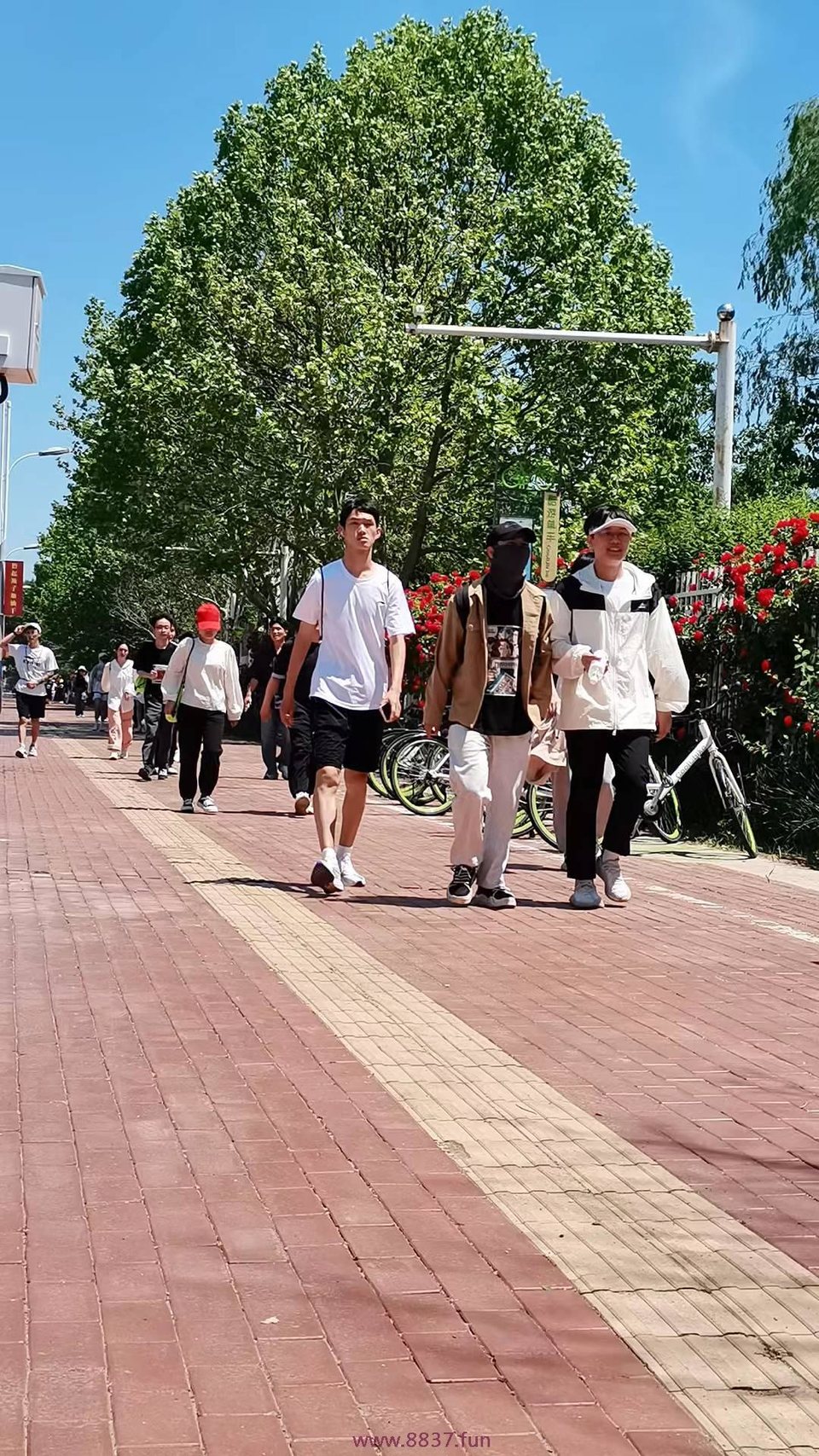 0Iv2YliO_1Eed0l7napQ_RkJygkaGTSjhnkvZP1pE6cZ0_5BwdmJ0ENjOhvljqwf