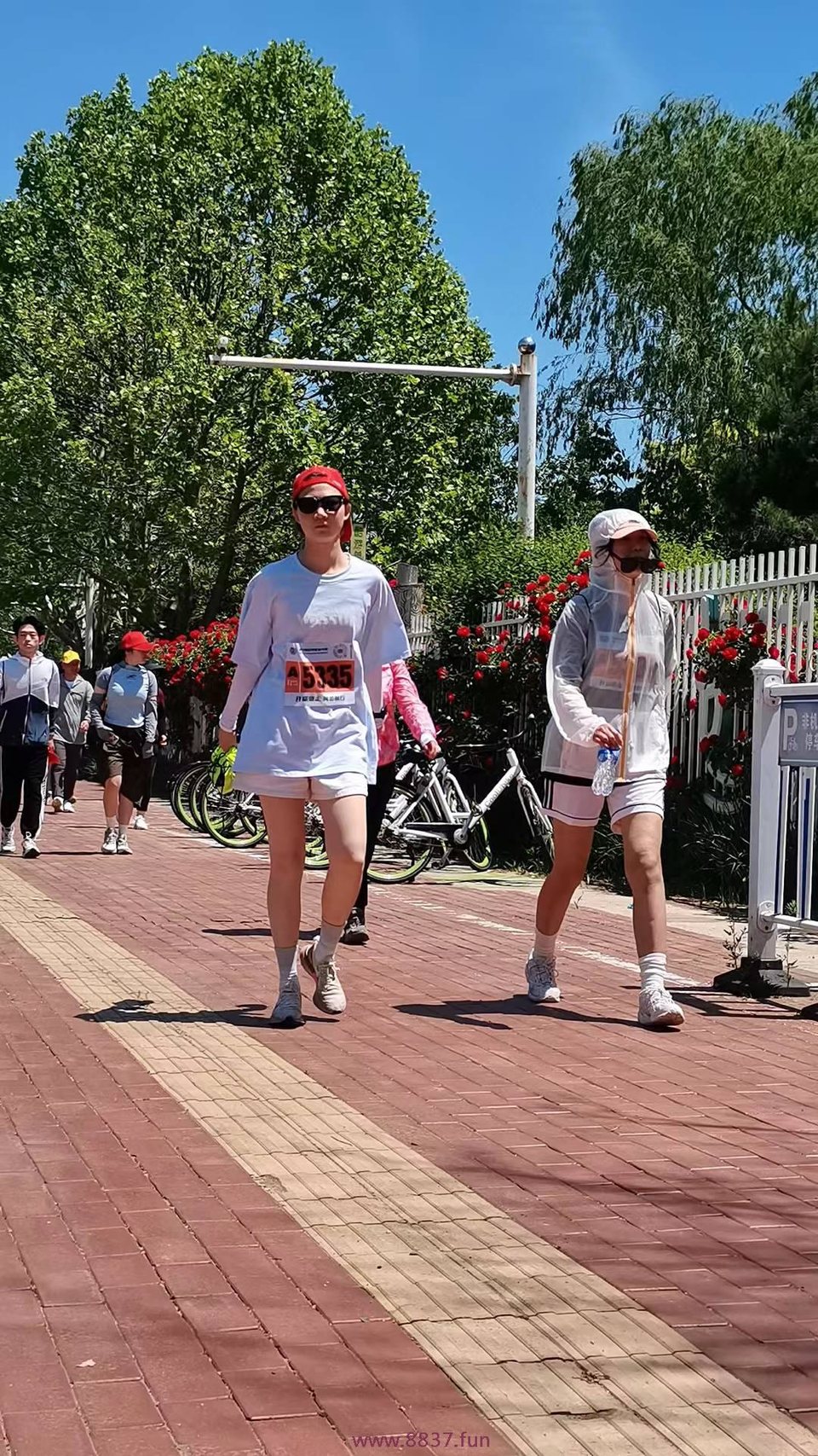 0Iv2YliO_1Eed0l7napQ_SvC0dVKrZYHwqt1rOPyT2u0QCFm0Vrk0H3aa1FZTapq