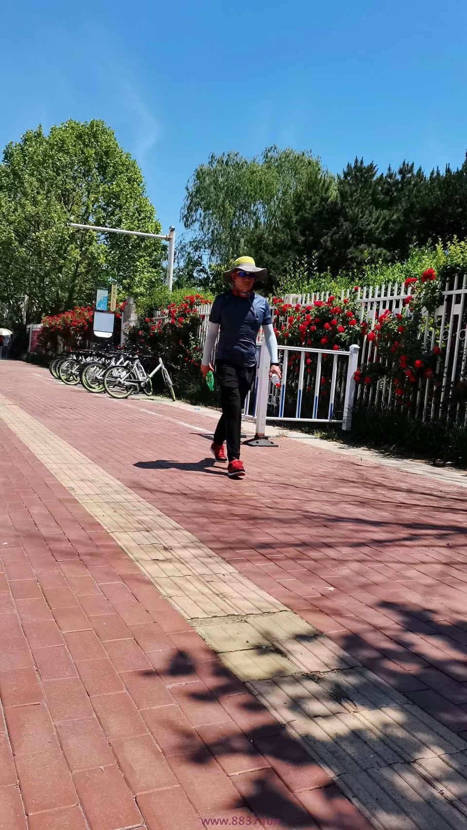 0Iv2YliO_1Eed0l7napQ_R_4dinbQ9g55gMiNjpCn8Lf8QbN5fqnR5M6pOAjbY_V