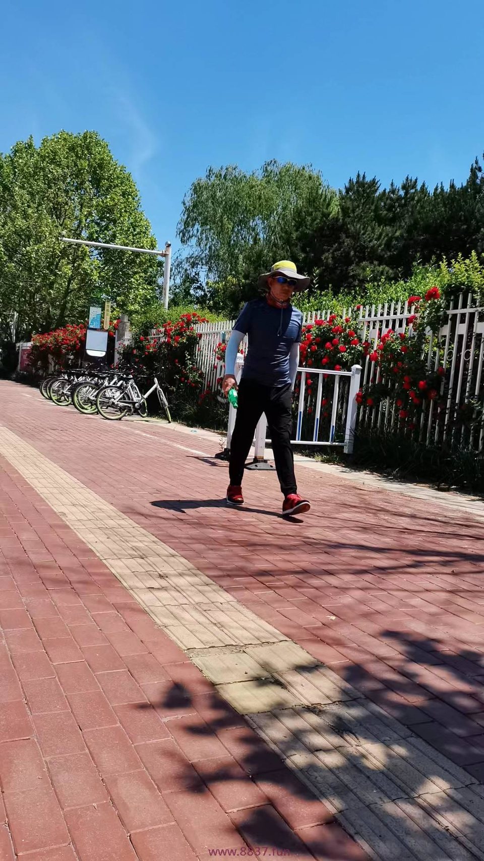 0Iv2YliO_1Eed0l7napQ_TSypdNfcXztqlc0PGRIGVU8QBPdv4stJINselExXvq9