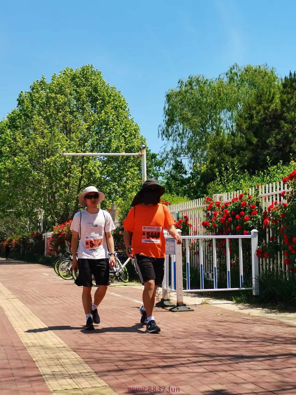 0Iv2YliO_1Eed0l7napQ_fOc_rW7YxzanY9sZEfg4pvyOChO2GMEW5Ip5XNNoji6