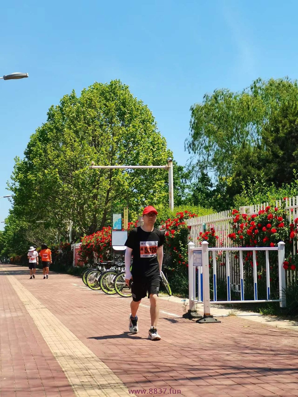 0Iv2YliO_1Eed0l7napQ_W7C7fEoWGNYR8d3lC5oDDC7SIrBv_YHyVij1dK0jxif