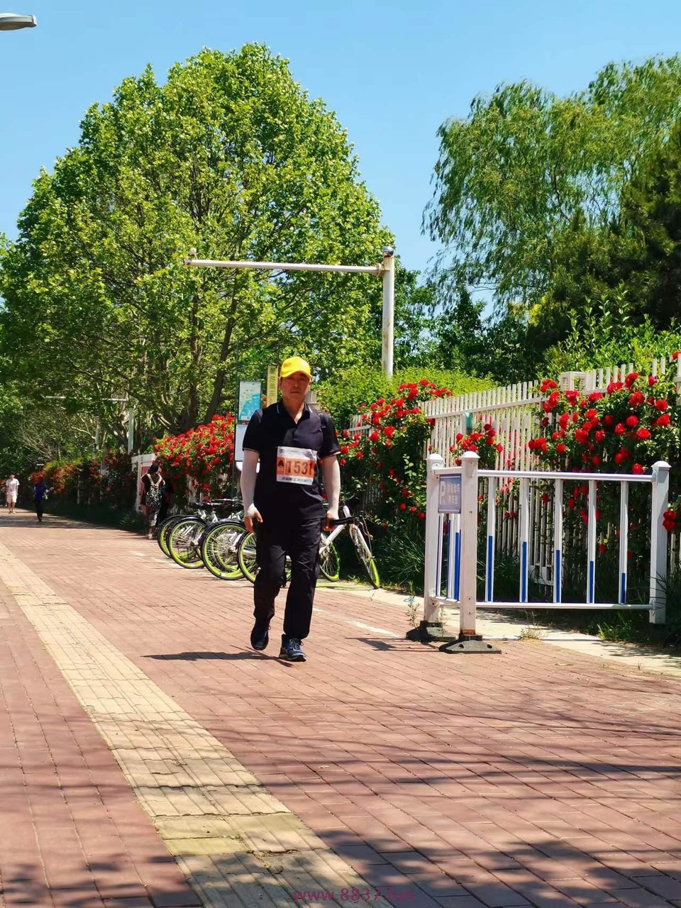 0Iv2YliO_1Eed0l7napQ_ZXcwV3RUQBE3K0alO2UhIcKIw1S1RpH7B-PbP3DnCYY