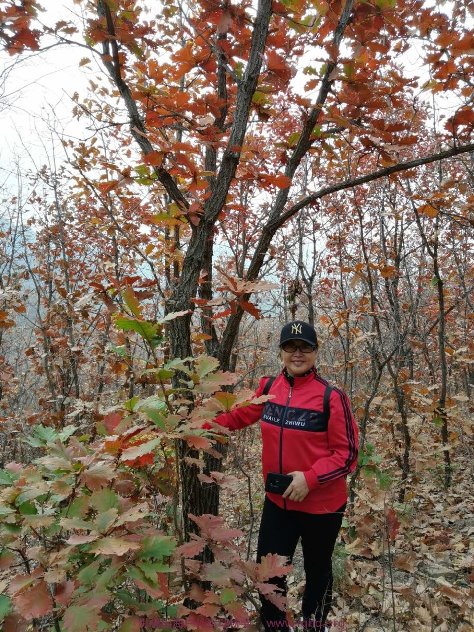 ZHND_g1eKT5Tw0a39f5QSI5KWKViZZt70Ii0yWEyjfcsaMnKaObYBbUAWH9fnS2p