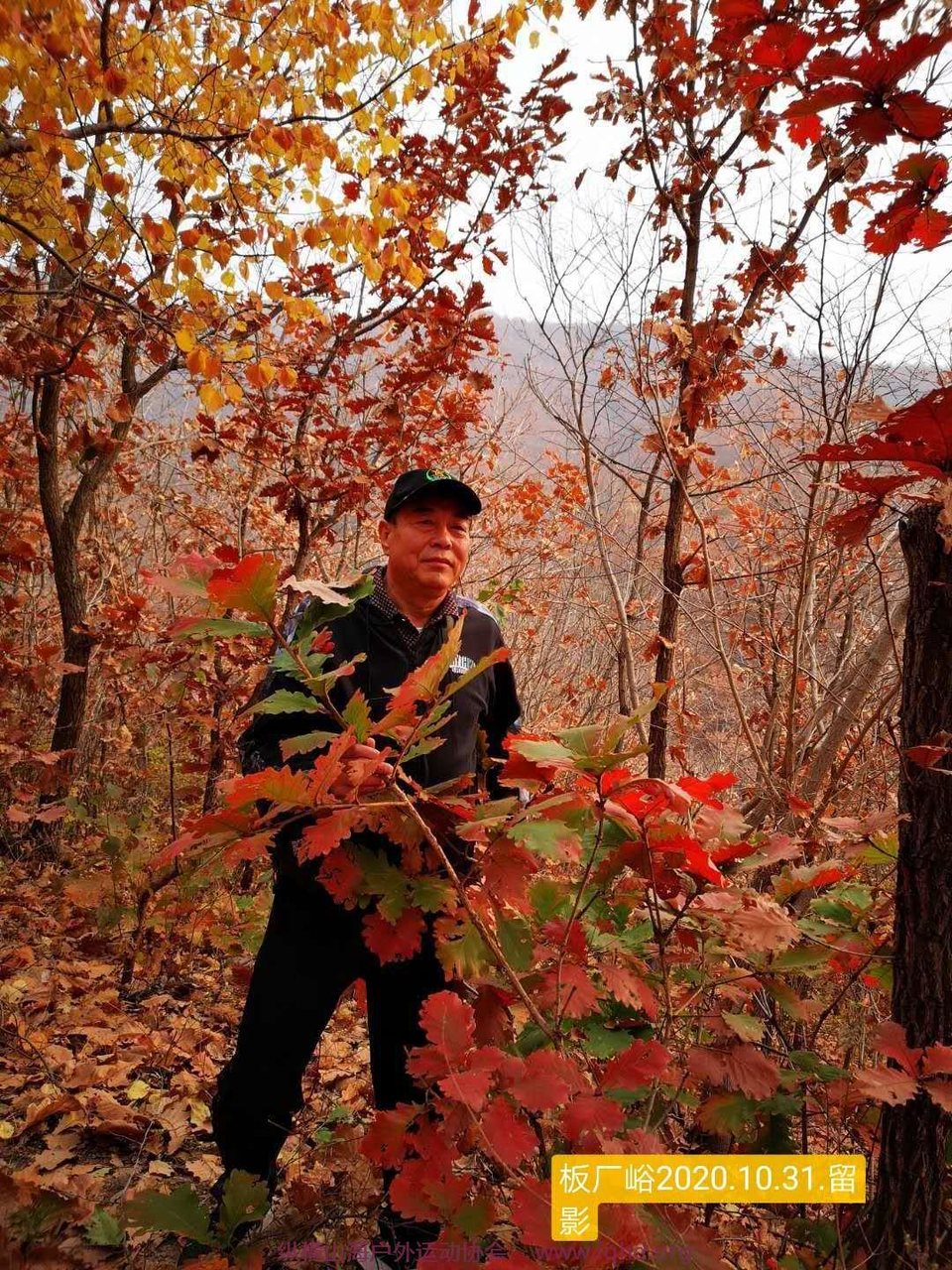 79UOzbtyal1UXyefQXclT3PMF3z2rP12fgr-2atYU4rKHt7zSDwA9hEVEy6nJsqF