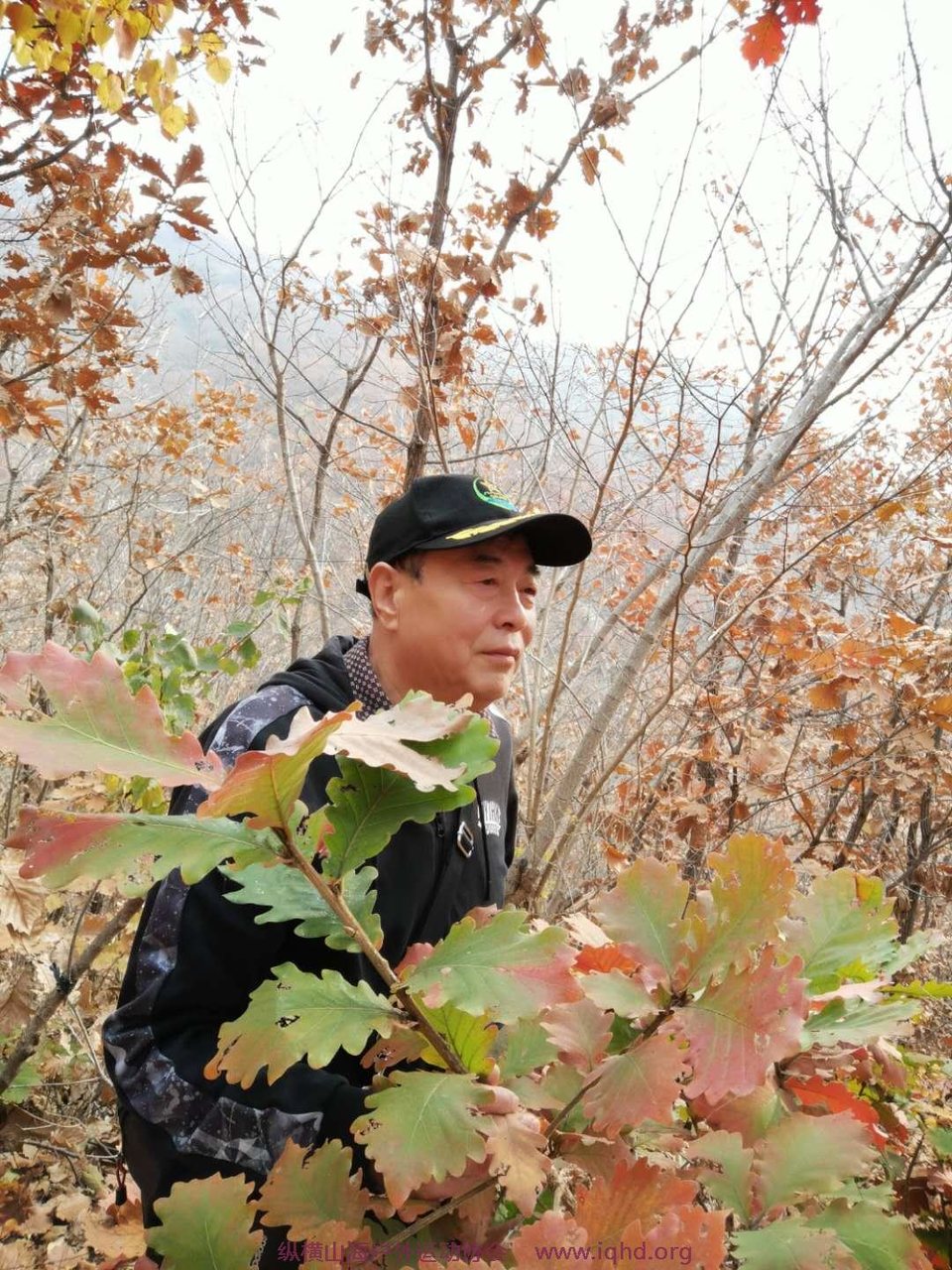 sgCspSPPuTHzFEUHHdRGBxHG4RfurhaQtCofwX2v08gROwuA16BDutnpSBeeIYpp