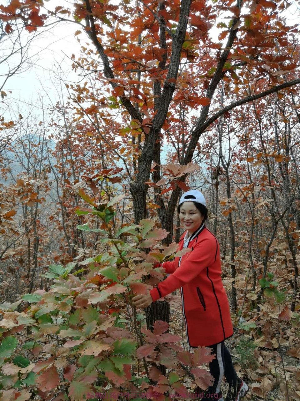 36Sm2GH-Fvs82KrQW7nAuG3VBX6afwyPPzoQjP9cDPOy21bJz2g2lEn-97gPw2n3