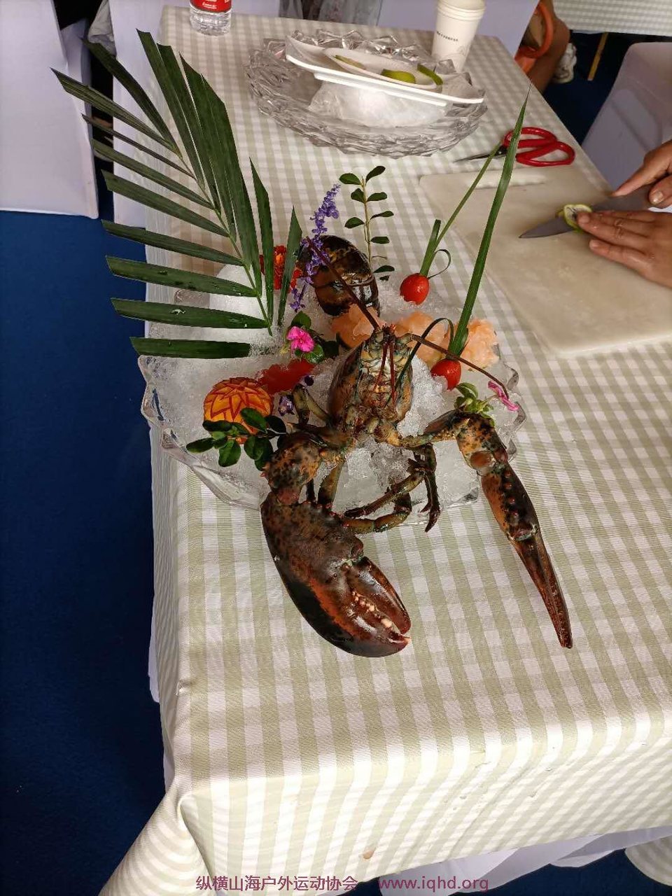 DOYnqyrhDWA6OhFv04yGiSIn_iPNd8Cp6Szh-xfhAXVIjExPSrWIRfU1TMj3OL0f