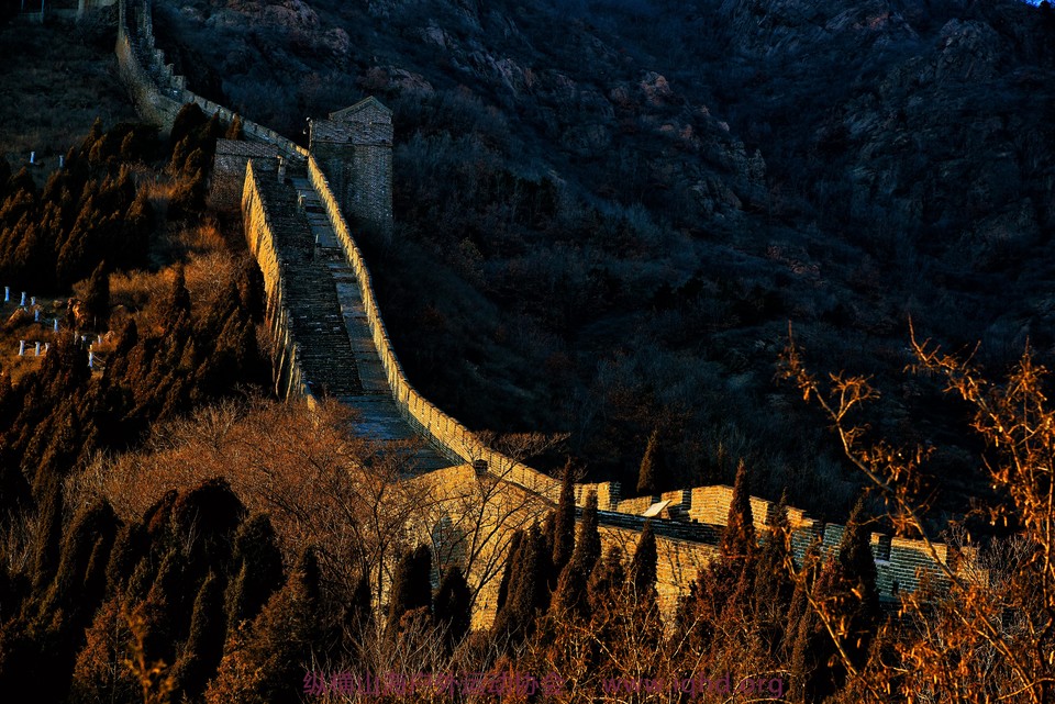 PFl9Q4Dz13T7mWcrWIR3EZNUKYeU0EUWOnKm6ucabQ533w2chJdOWdPrcjVvfpH8