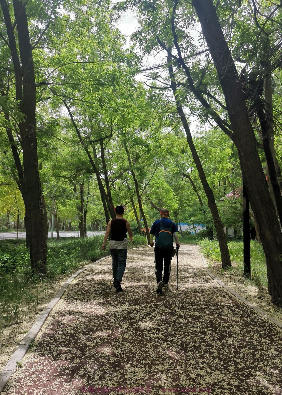 Y6rWuUeokKrnfJqmgi-iP6lT4NAbUIkupLtwdD_0M5vJlcJ1hMUOFFN5DYkEb5Jl