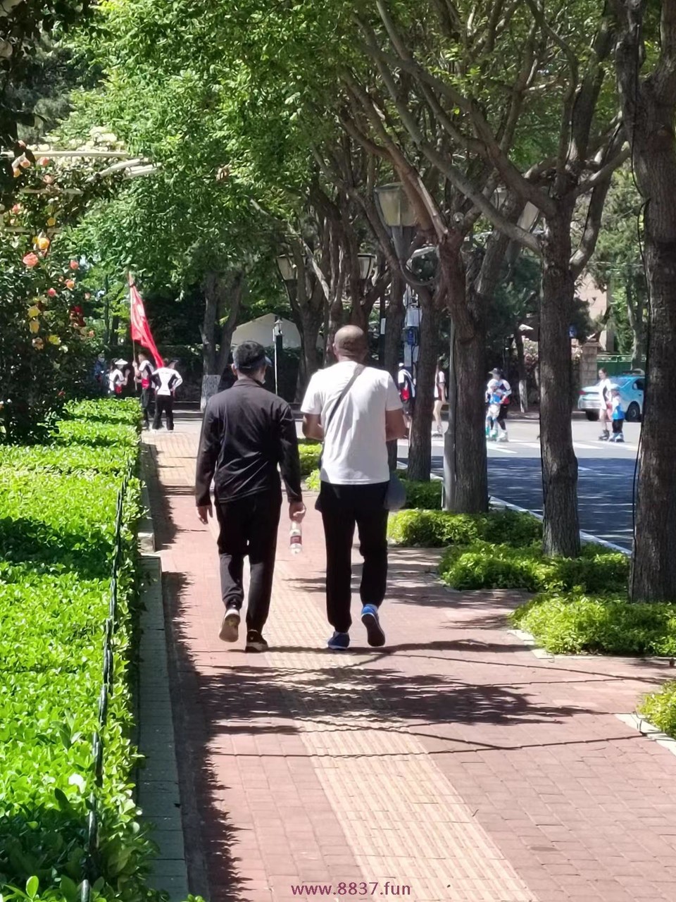 PxFprTEyNeCob2QFqKGRNaJMhIfWfXwpeoMSZW5TFSHe_ZLclK0dFDdUeLpQks3d