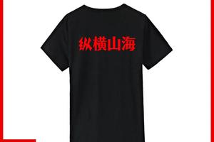 纵横山海重磅纪念T恤，大气磅礴，时尚酷炫！
