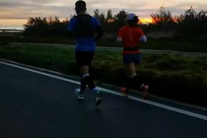 飞燕在蔚蓝海岸