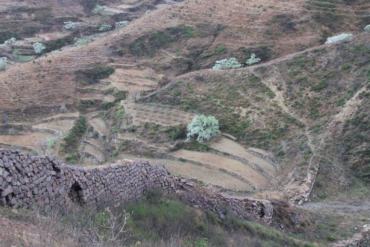 穿越界岭口—青山口长城 - 三虎 - 三虎的博客