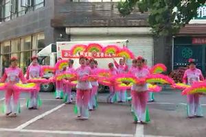 汤河腰鼓队义助卢龙薯农李绍南渡难关秧歌表演视频之一