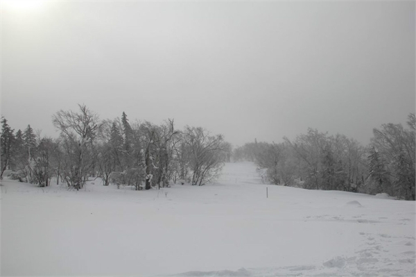 雪谷,雪乡,哈尔滨冰雪大世界,索菲亚教堂,哈尔滨中央大街步行街自助游图片